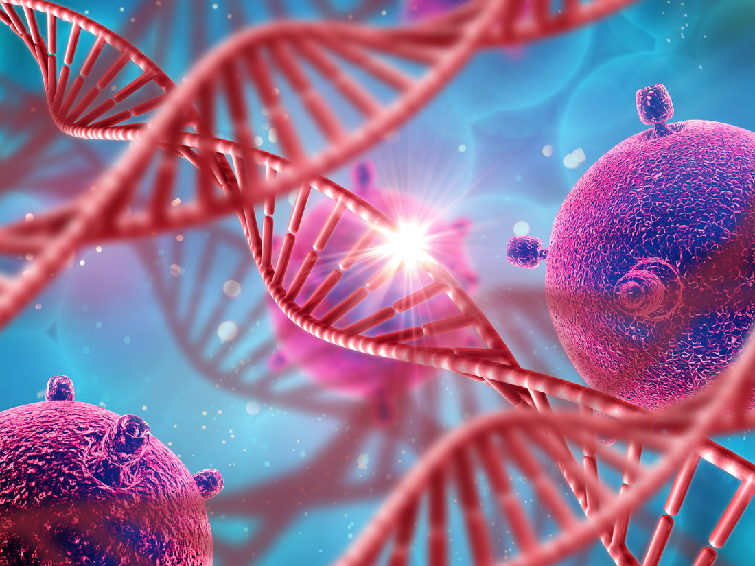 Understanding Telomeres and Age Reversal: A Biohacker's Guide